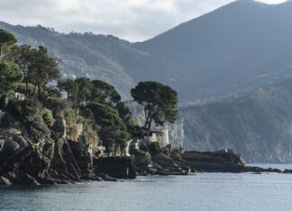 Ile kosztuje miesiąc Tutlo?