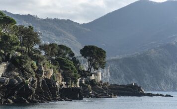 Ile kosztuje High League 6?