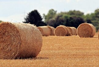 Jaka jest rola konsumenta na dzisiejszym rynku?