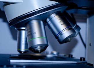 Jakie studia dla pieniędzy?