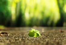 Jak znaleźć klientów?