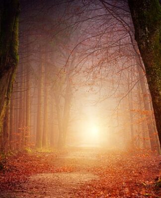 Jak czytać rachunek zysków i strat?