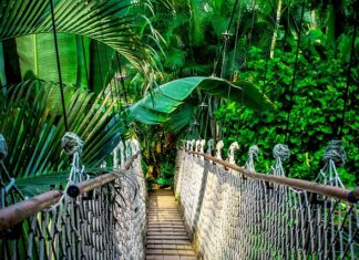 Ile kosztuje kurs na Tutlo?