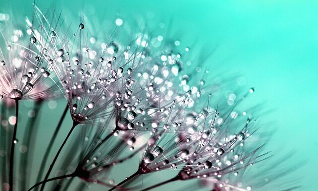 Ile powinien wynosić ros?