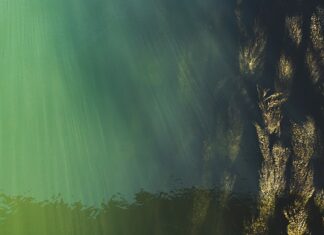 Czy B1 to dobry poziom?