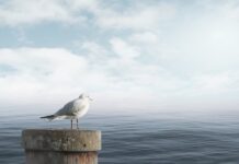 Jak uspokoić klasę?